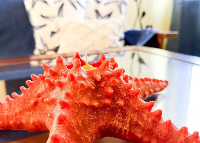 アパート Catona House *